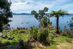 The large fishing dock on Sarah Island, Macquarie Harbour Penal Station, a former British colonial penal settlement that operated between 1822 and 1833.