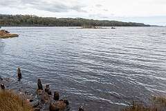 Ruins of a windbreak fence at Macquarie Harbour Penal Station, a former British colonial penal settlement on Sarah Island that operated between 1822 and 1833.