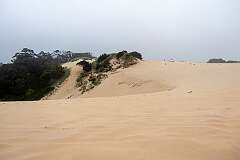 The Henty Dunes, 30 metres tall, reaching several kilometres inland and extending 15 kilometres along the coast north of Strahan.