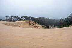 The Henty Dunes, 30 metres tall, reaching several kilometres inland and extending 15 kilometres along the coast north of Strahan.