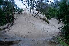 The Henty Dunes at the parking place, 12 kilometres north of Strahan.