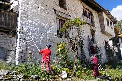 Monks whitewashing the wall of their living quarters.