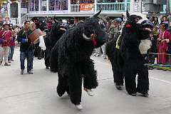 The Carnival Parade, with many colourful dancers, on the last day of the Tawang Festival.