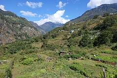 View near the village of Jang, from the Chariduar - Tawang Road, at 2,210 metres altitude.