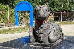 An image of Nandi, the bull, at the Shree Sidheshwar Nath Temple of Kardo, Ziro.
