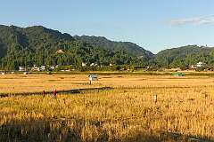 Farm fields from the Bulla Village Road, near Old Ziro.