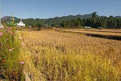 View to the Sacred Heart Catholic Church along the Biilii Lembo road, south of Hari Village.