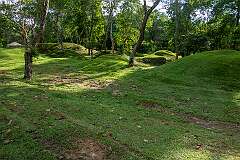 View to Maidan No.11, 12 and 13, Maidan burial mounds of the Ahom Kings.