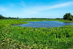 View at Mohkina Gaon on Majuli island.