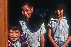 Children at the school in the Tibetan Children's Village of McLeod Ganj.