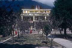 The Dalai Lama's temple in the Tsuglagkhang Monastery Complex, in the heart of McLeodganj.