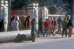 A group of girls walking from their school.