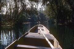Floating on a canal in Srinagar.