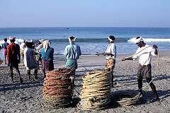 Pulling in the fishing net on the beach in Kovalam, 17 kilometres south of Thiruvananthapuram.