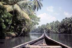 Cruising in a boat on the back waters near Kovalam.