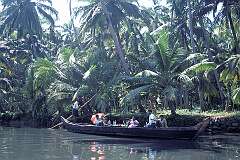 Indian tourists cruising the back waters near Kovalam.