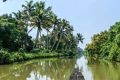 Floating on the backwaters, Kodamthuruth, in southern Kerala.