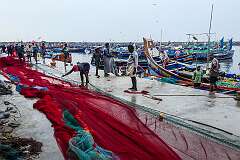 The Chellanam Fishing Harbour, in southern Kerala.