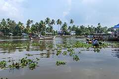 On the Pamba river, Meenappally, Kainakary North, Kuttanad Taluk, near Alappuzha.