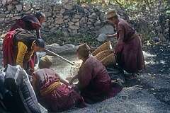 Buddhist nuns, shovelling barley, in the Jelichun Nunnery of Rizong (Ri-Dzong) Gompa, 10 kilometres west of Alchi.