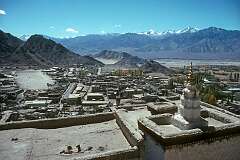 View of Leh from the roof of Leh Palace.