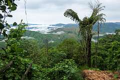 View north from Angh Homestay.