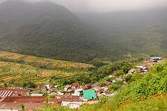 View of the village and rice fields from the top of Khonoma.
