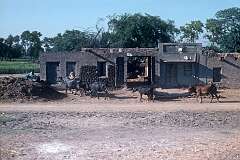 A village seen from the train, west of Amritsar in Punjab.