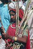 Rajasthani girl with sugar cane in Pushkar.
