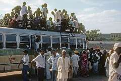 Overloaded bus from Ajmer to Pushkar.