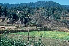 A view between Gangtok and Rumtek.