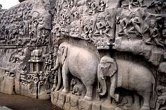Bas relief featuring many animals at Descent of the Ganges (Arjuna's Penance) in Mahabalipuram.