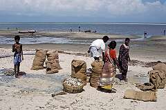 Women with the catch of the day on Dhanushkodi beach.