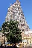 One of the “gopuram” towers; the Meenakshi Temple was rebuilt after the 14th century by the Vijayanagara Empire and in the 16th century expanded and fortified by the Nayak ruler Vishwanatha Nayakar.