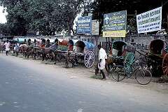 Horse drawn carriages are lined up along the road in the town of Palani, 64 kilometres north of Kodaikanal.