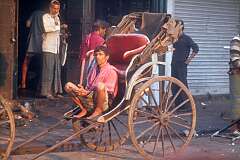 A rickshaw-wallah in the New Market Area, Kolkata.