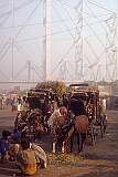 Horses and carts at the Howrah Bridge.