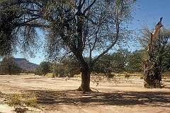 A sandy river crossing, on the road between Khorixas and Twyfelfontein (ǀUi-ǁAis).