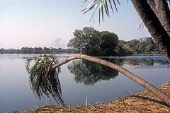 The Zambesi River before Victoria Falls, on the border of Zimbabwe and Zambia.