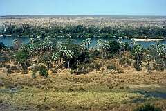 An elephant in the park along the Zambesi River, looking across towards the Zambian side, upstream of Victoria Falls.