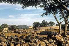 View towards the “temple” of the city of Great Zimbabwe.