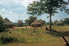 A homestead between Birchenough Bridge and Chipinge (Chipinga), in Manicaland, east Zimbabwe.