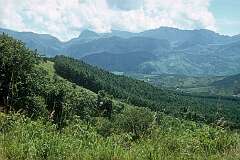 View to the Chimanimani mountains, in the province of Manicaland, near the Mozambique border.