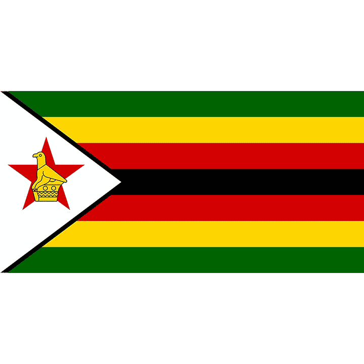 Flag History
