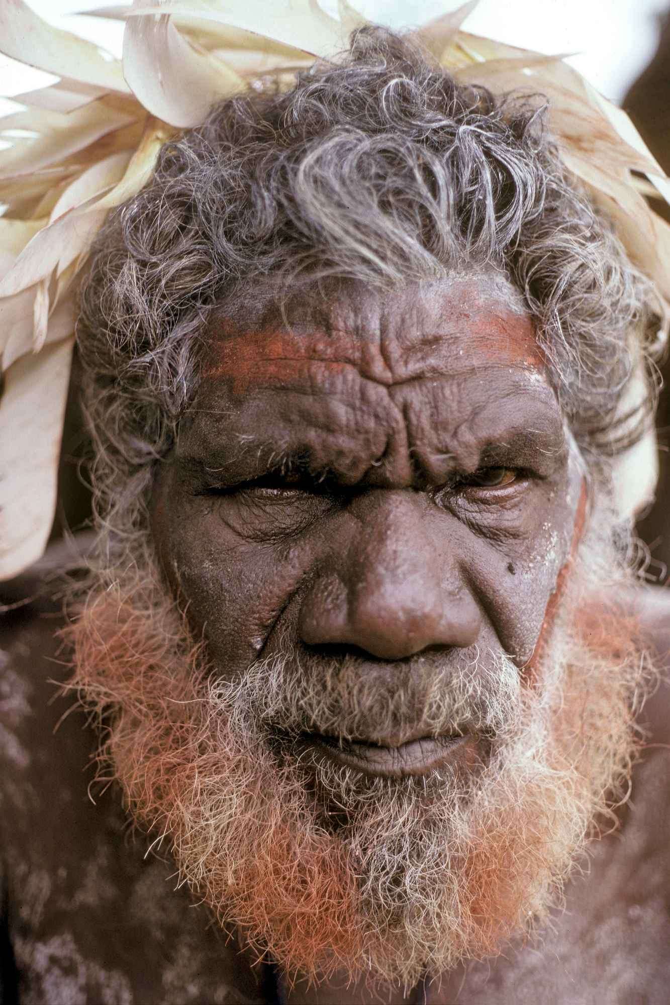 Люди австралоидной расы. Австралоиды раса. Австралоиды океанийская раса. Меланезийская раса австралоидная. Австралоид-веддоид.